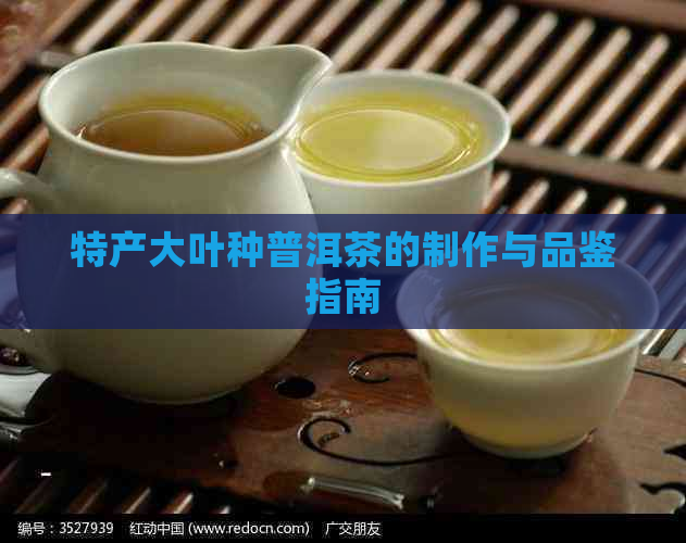 特产大叶种普洱茶的制作与品鉴指南