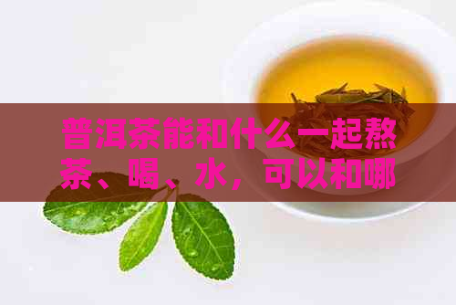 普洱茶能和什么一起熬茶、喝、水，可以和哪些食材或草药搭配？