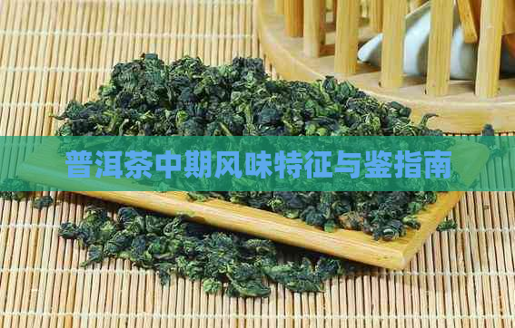 普洱茶中期风味特征与鉴指南