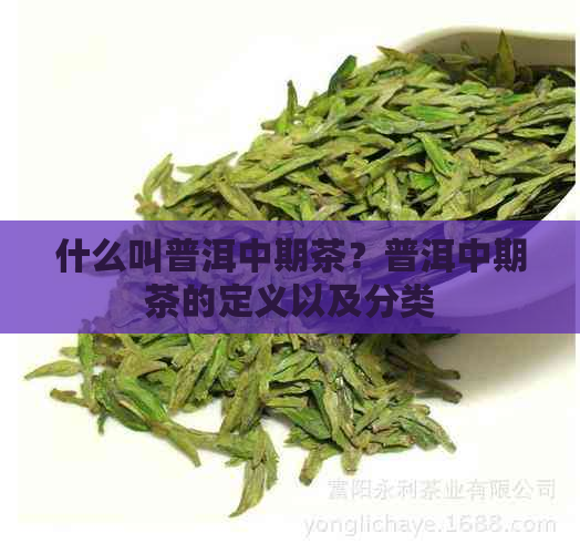 什么叫普洱中期茶？普洱中期茶的定义以及分类