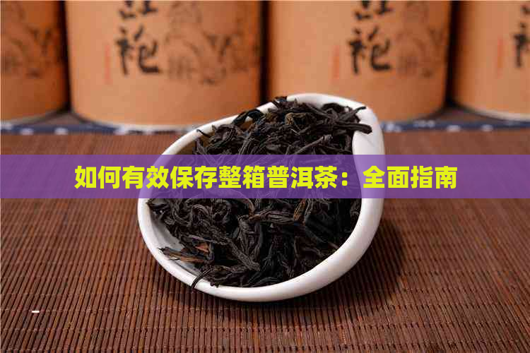 如何有效保存整箱普洱茶：全面指南