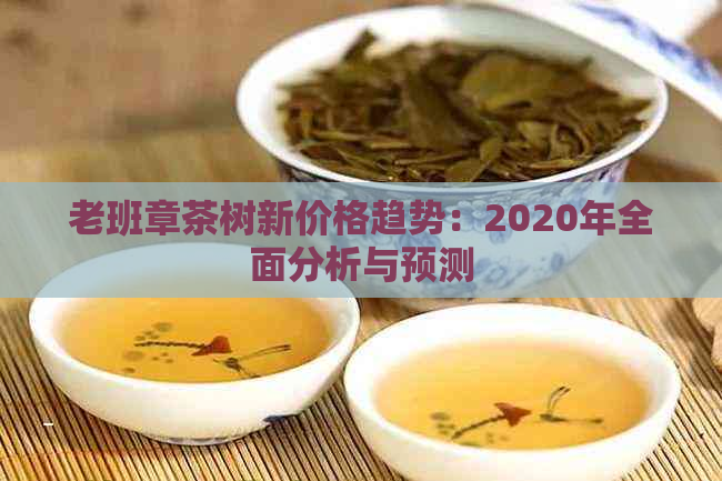 老班章茶树新价格趋势：2020年全面分析与预测