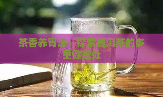 茶香养胃法：探索普洱茶的多重健益处