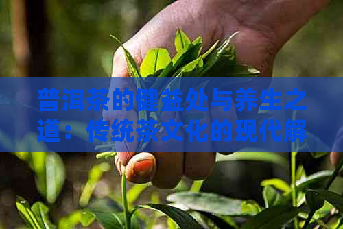 普洱茶的健益处与养生之道：传统茶文化的现代解读