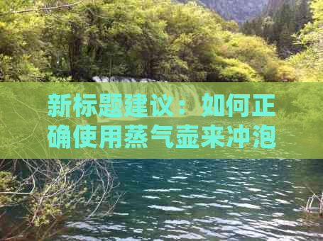 新标题建议：如何正确使用蒸气壶来冲泡和品尝高品质的普洱茶？