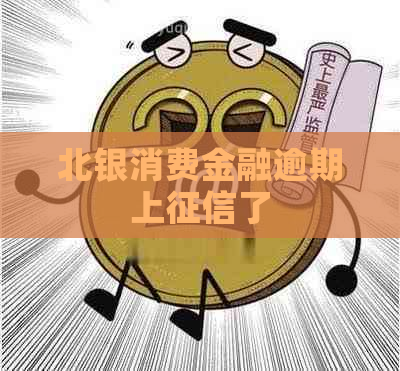 北银消费金融逾期上了