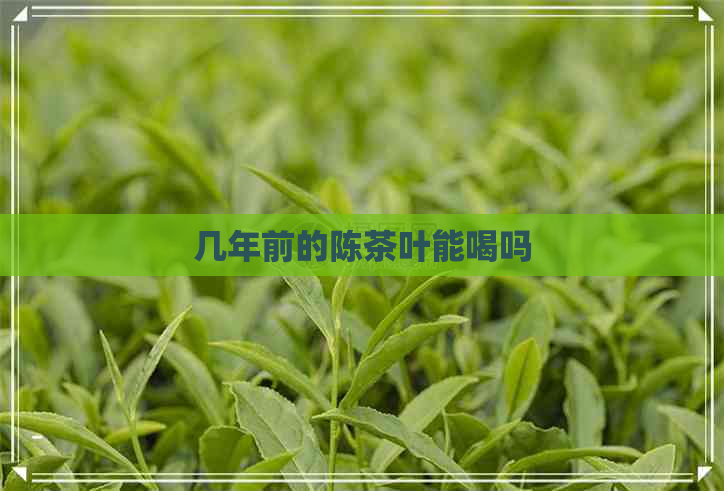 几年前的陈茶叶能喝吗