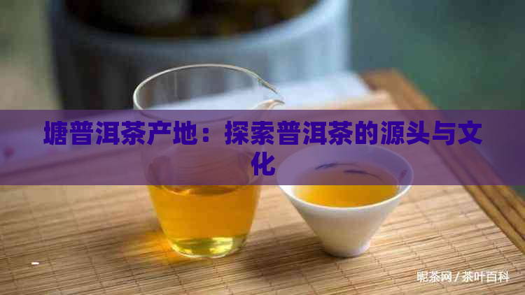 塘普洱茶产地：探索普洱茶的源头与文化