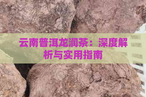 云南普洱龙润茶：深度解析与实用指南