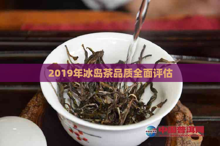 2019年冰岛茶品质全面评估