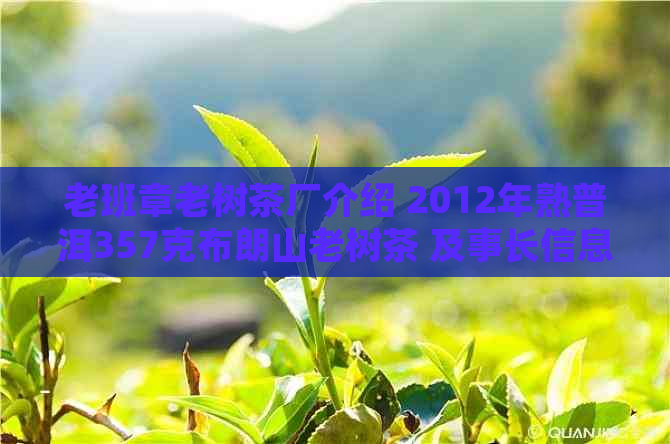 老班章老树茶厂介绍 2012年熟普洱357克布朗山老树茶 及事长信息