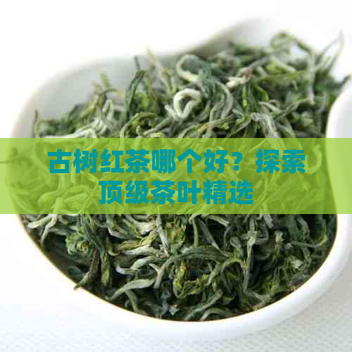 古树红茶哪个好？探索顶级茶叶精选