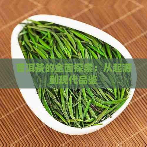 普洱茶的全面探索：从起源到现代品鉴