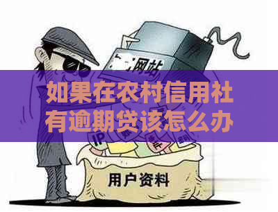 如果在农村信用社有逾期贷该怎么办