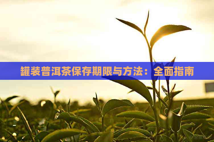 罐装普洱茶保存期限与方法：全面指南