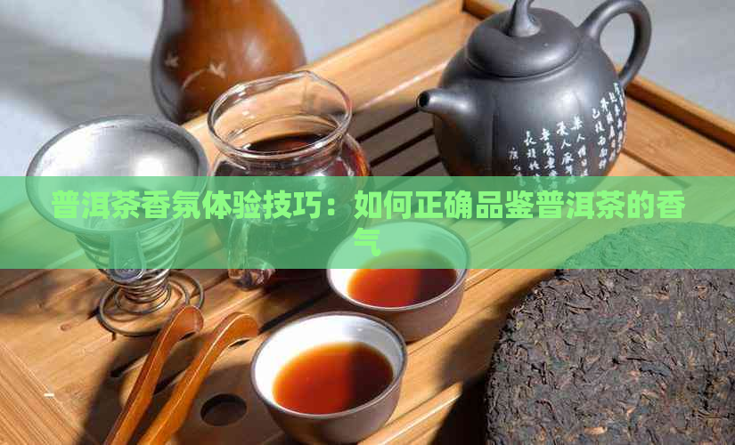 普洱茶香氛体验技巧：如何正确品鉴普洱茶的香气