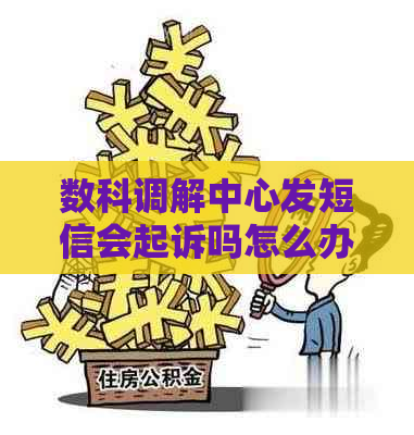 数科调解中心发短信会起诉吗怎么办