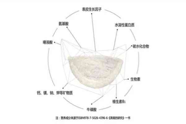 燕窝探秘：揭秘燕之出燕窝的全过程与选购指南