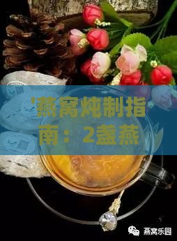 '燕窝炖制指南：2盏燕窝搭配适量蜂蜜的正确水量'