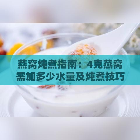 燕窝炖煮指南：4克燕窝需加多少水量及炖煮技巧全解析