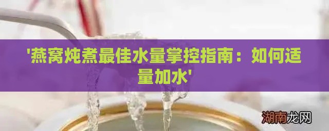 '燕窝炖煮更佳水量掌控指南：如何适量加水'