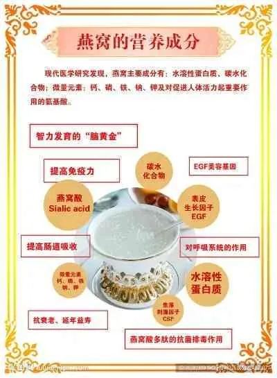 巢廷燕窝：全方位解析燕窝选购、功效与食用指南