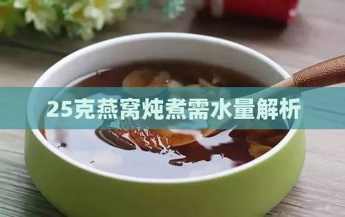 25克燕窝炖煮需水量解析