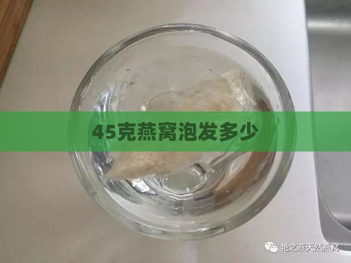 45克燕窝泡发多少