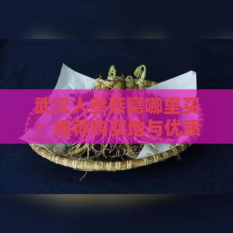 武汉人参燕窝哪里买：推荐购买地与优质商家一览