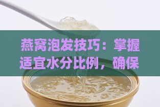 燕窝泡发技巧：掌握适宜水分比例，确保营养与口感