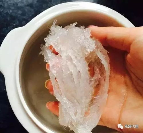 燕窝泡发更佳水量指南：全面解析如何科学泡发以保留营养与口感