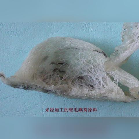 燕窝重量换算：35克燕窝等同于多少克详细解析