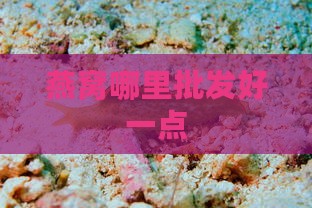 燕窝哪里批发好一点